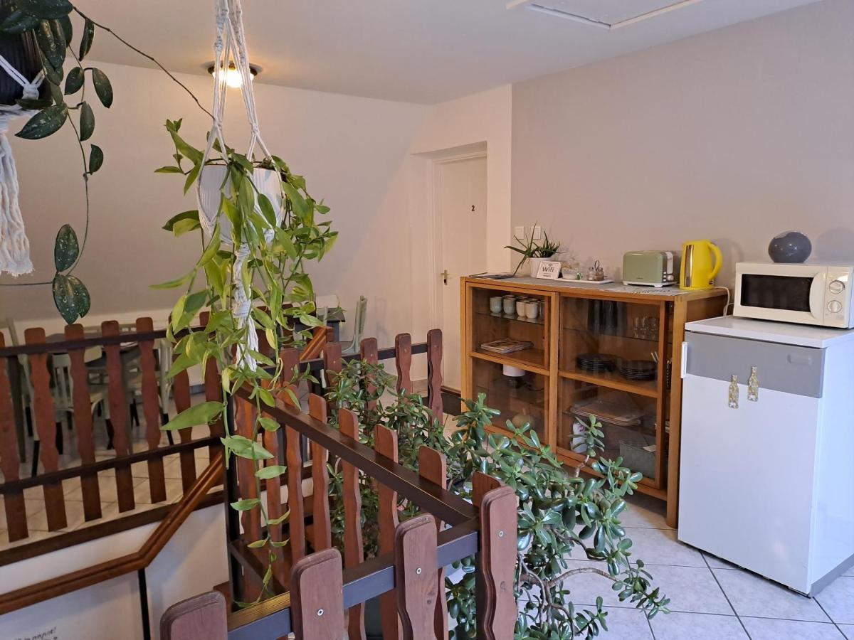 Diokert Vendeghaz Sopron Bed & Breakfast Exterior photo